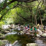 map of hong kong brides pool at plover cove country park 5