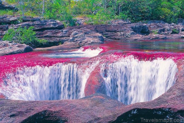 Caño Cristales is a Colombian river located in the Serrania de la Macarena province of Meta. La combinación de colores y… | Mystical places, Summer trees, Waterfall