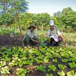 sanctuary olonana kenya 10