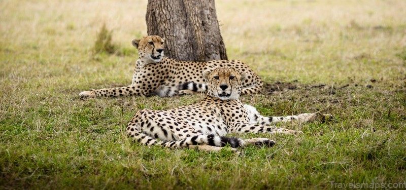 sanctuary olonana kenya 3