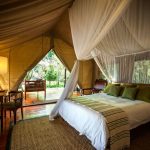 sanctuary olonana kenya 9