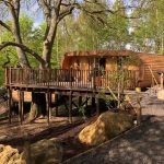treehouses at the fish hotel cotswolds 7