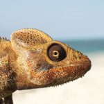 time tide miavana madagascar 5