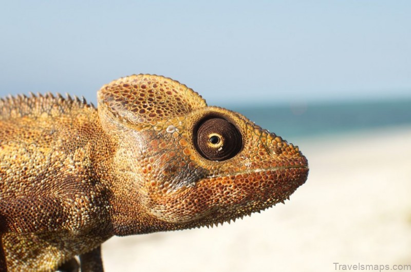 time tide miavana madagascar 5