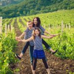 top 10 destinations in northern california 7