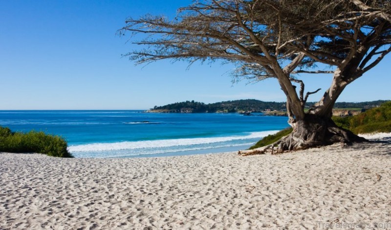 top 10 american beaches for families 5