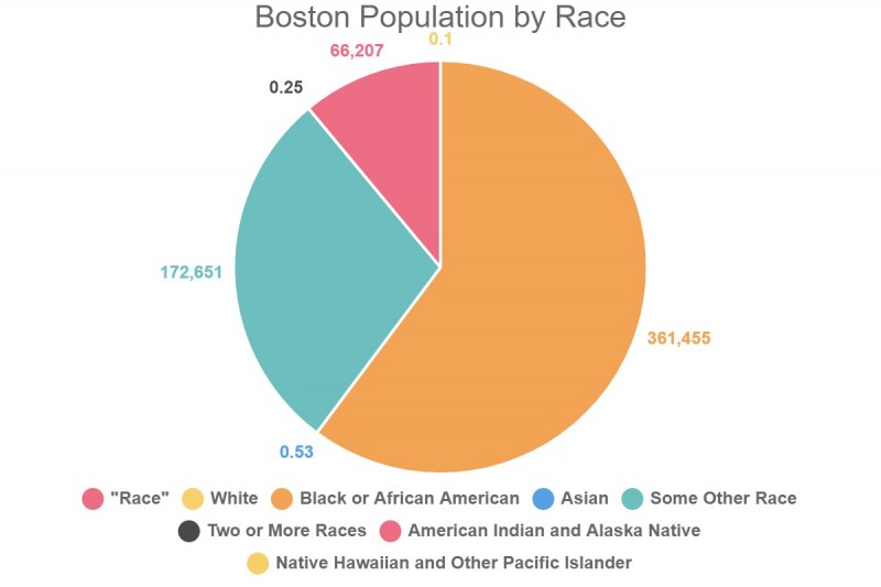 Boston Population by Race