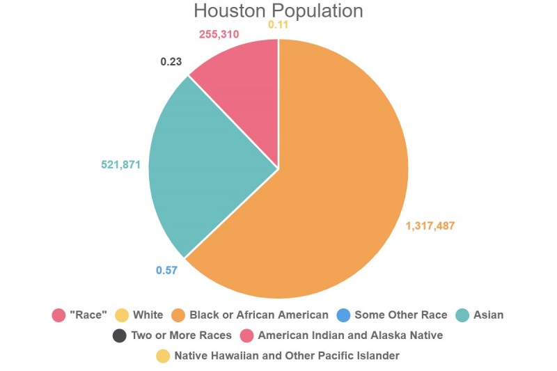 Houston Population
