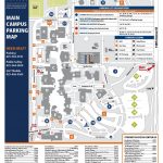 bellevue travel guide for tourists a map of bellevue 1