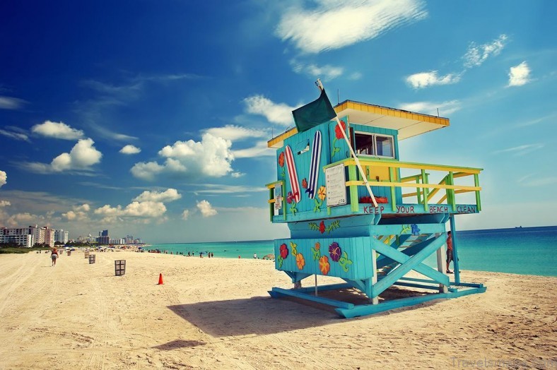 miami travel guide what every visitors needs to know 7