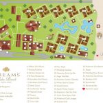 a guide to palm beach everything you need to know 7