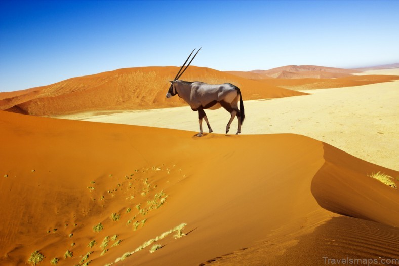 namibia travel guide a detailed map of namibia 7