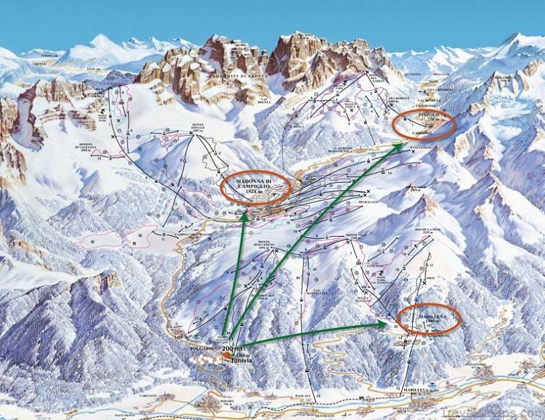 plan your trip to forli the perfect italian wine tour 1