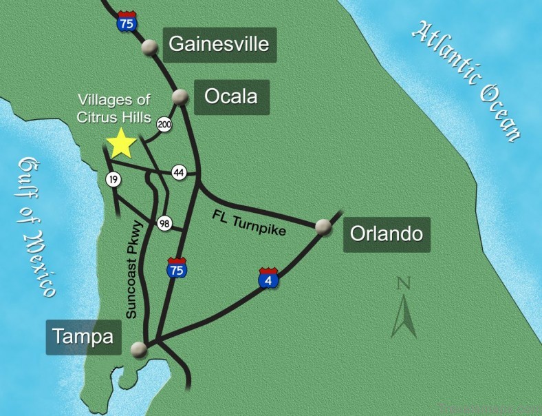 if youre traveling to gainesville this map will help guide you 6