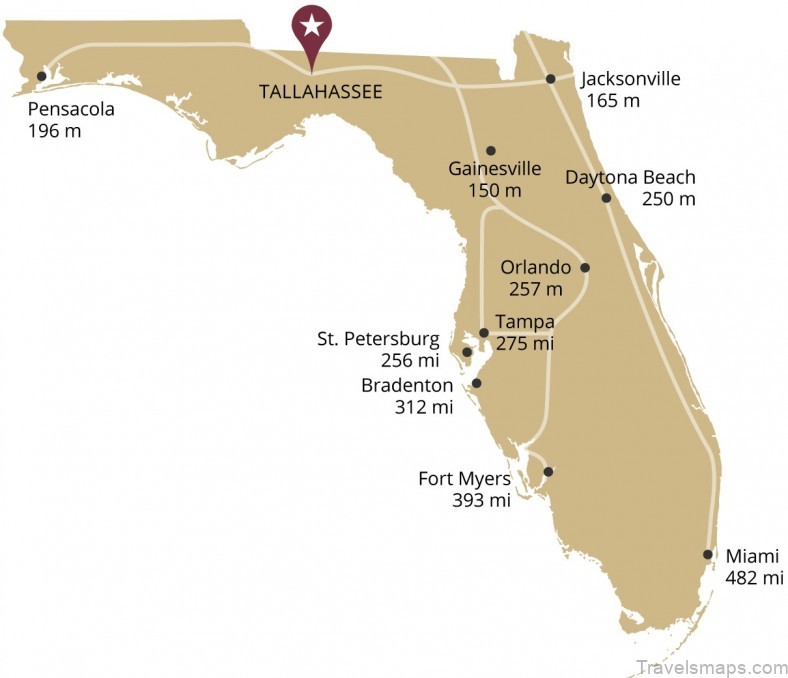if youre traveling to gainesville this map will help guide you 7